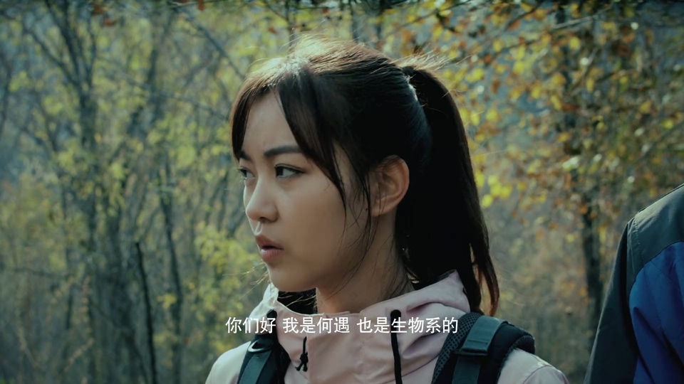 点击在新窗口打开